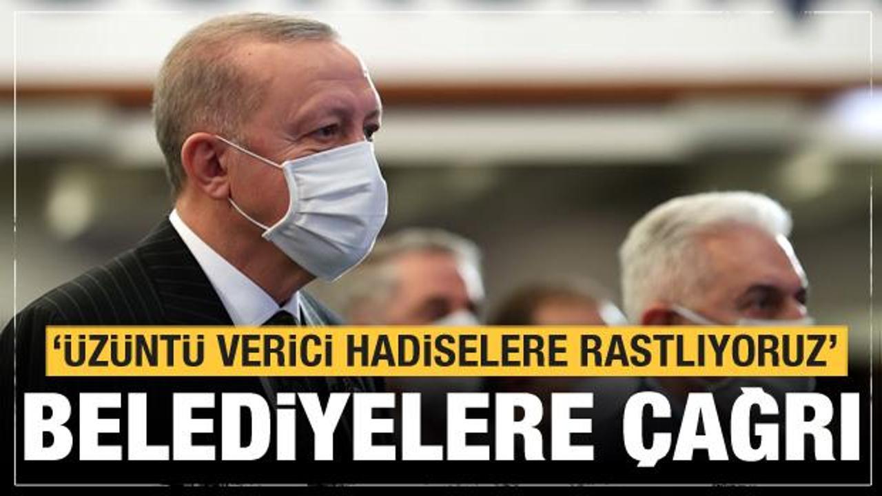 Cumhurbaşkanı Erdoğan'dan belediye başkanlarına sokak hayvanları çağrısı