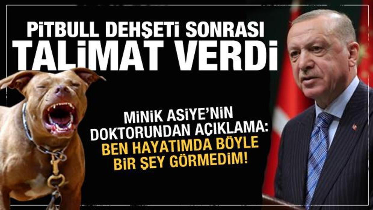 Gaziantep'teki pitbull dehşeti sonrası Erdoğan'dan talimat! Doktordan açıklama