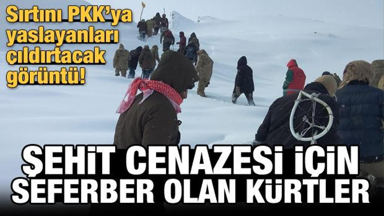 Şehit cenazesi için seferber olan Kürtler! Sırtını PKK'ya yaslayanları çıldırtacak görüntü