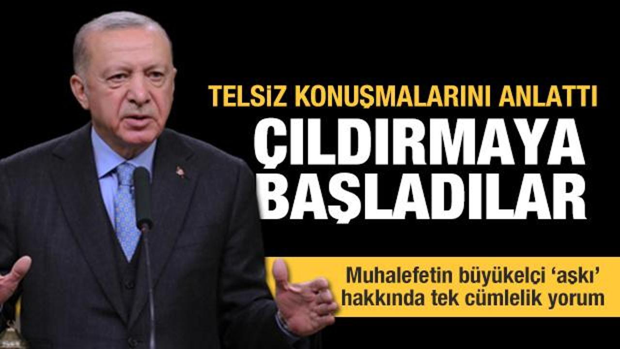 PKK'nın çaresiz telsiz konuşmalarını anlatan Erdoğan 'Çıldırmaya başladılar' dedi