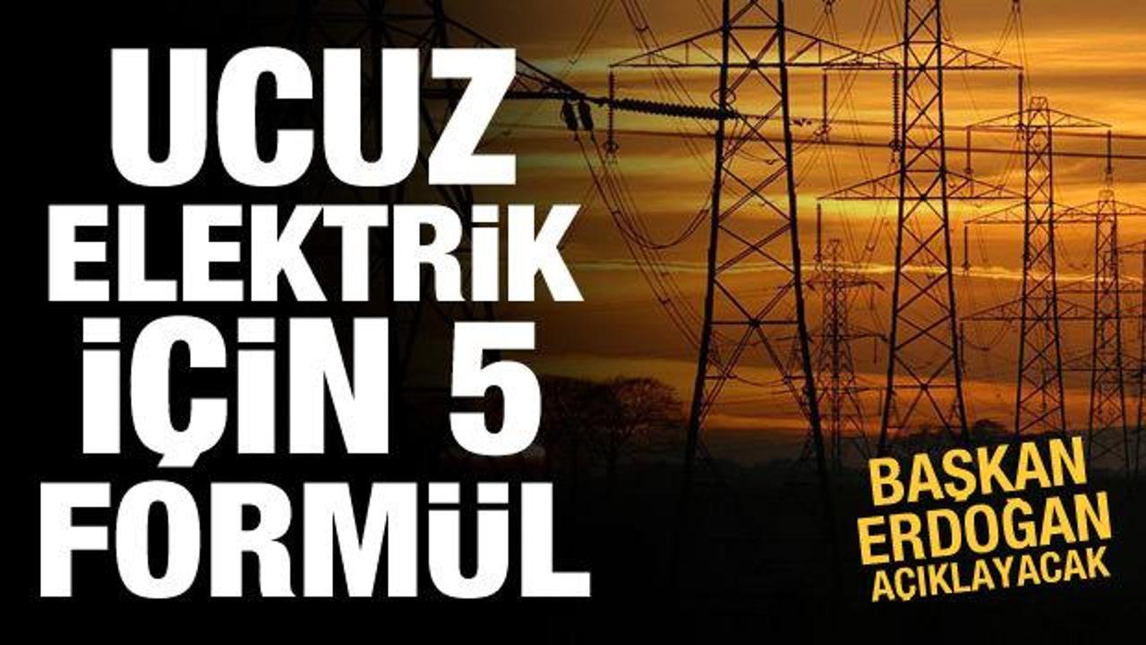 Elektrik faturalarını indirecek 5 formül! Erdoğan açıklayacak
