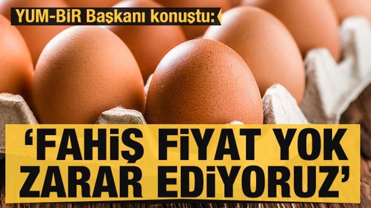 YUM-BİR'den fiyat açıklaması: Yumurtada fahiş fiyat yok, zarar ediyoruz