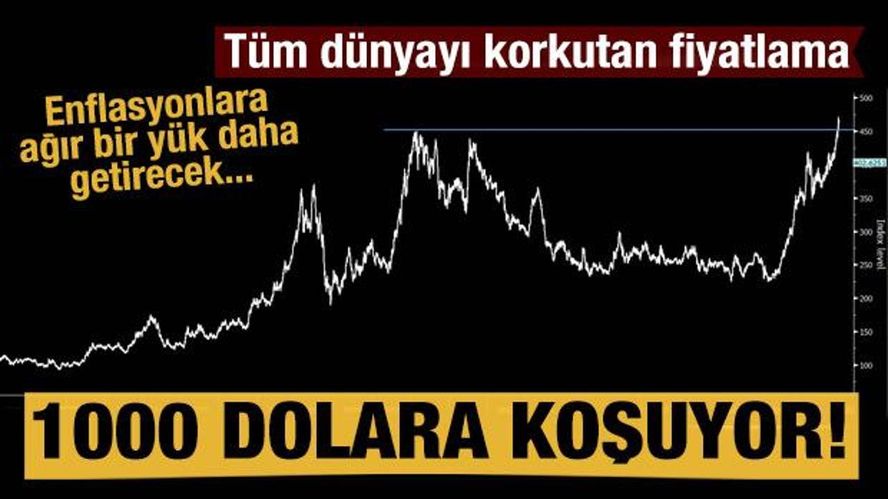 Buğday fiyatı 1000 dolara koşuyor! D&uuml;nyayı korkutan fiyatlama
