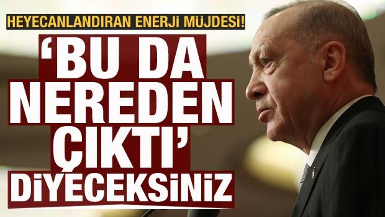 Cumhurbaşkanı Erdoğan'dan heyecanlandıran enerji çıkışı: Bu nereden çıktı diyeceksiniz