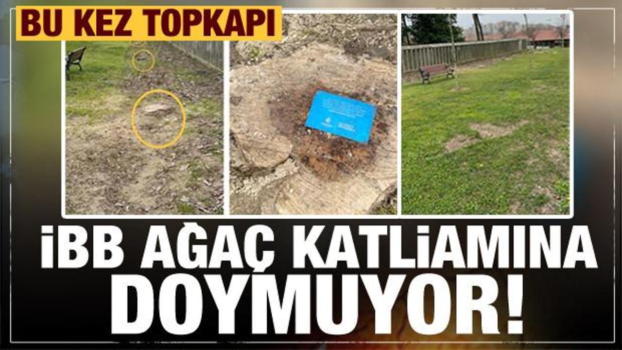 İBB bu kez de Topkapı'da onlarca ağacı kesti