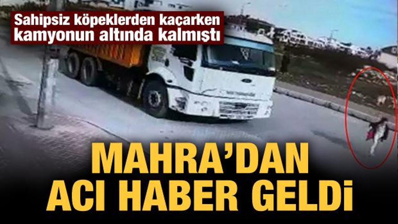 K&ouml;peklerden ka&ccedil;arken kamyonun altında kalmıştı: Mahra Melin Pınar'dan acı haber geldi
