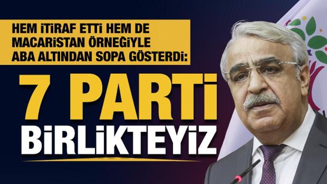 HDP'li Mithat Sancar canlı yayında itiraf etti: 7 parti birlikte hareket ediyoruz