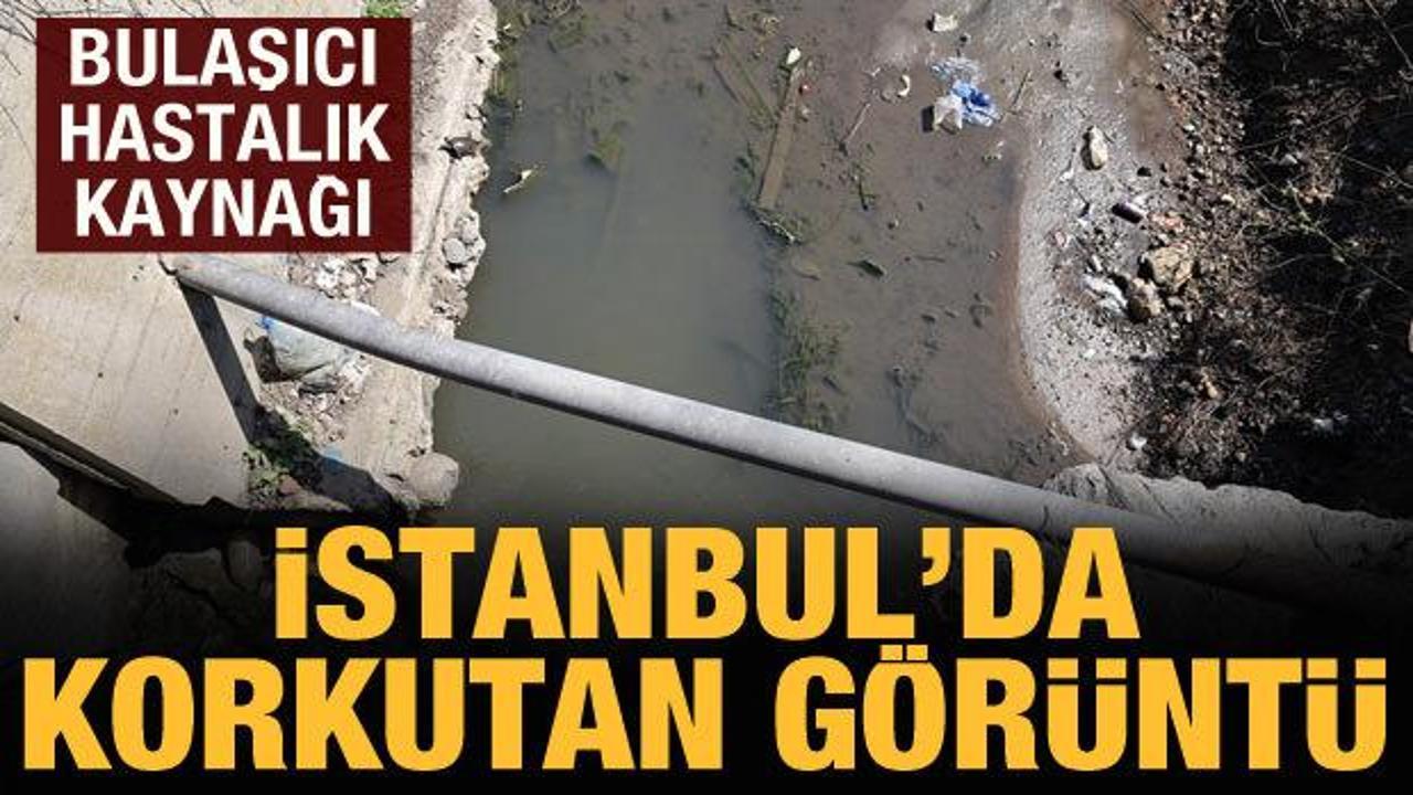 İstanbul'da korkutan g&ouml;r&uuml;nt&uuml;: Kolağası Deresi'nde bulaşıcı hastalık endişesi