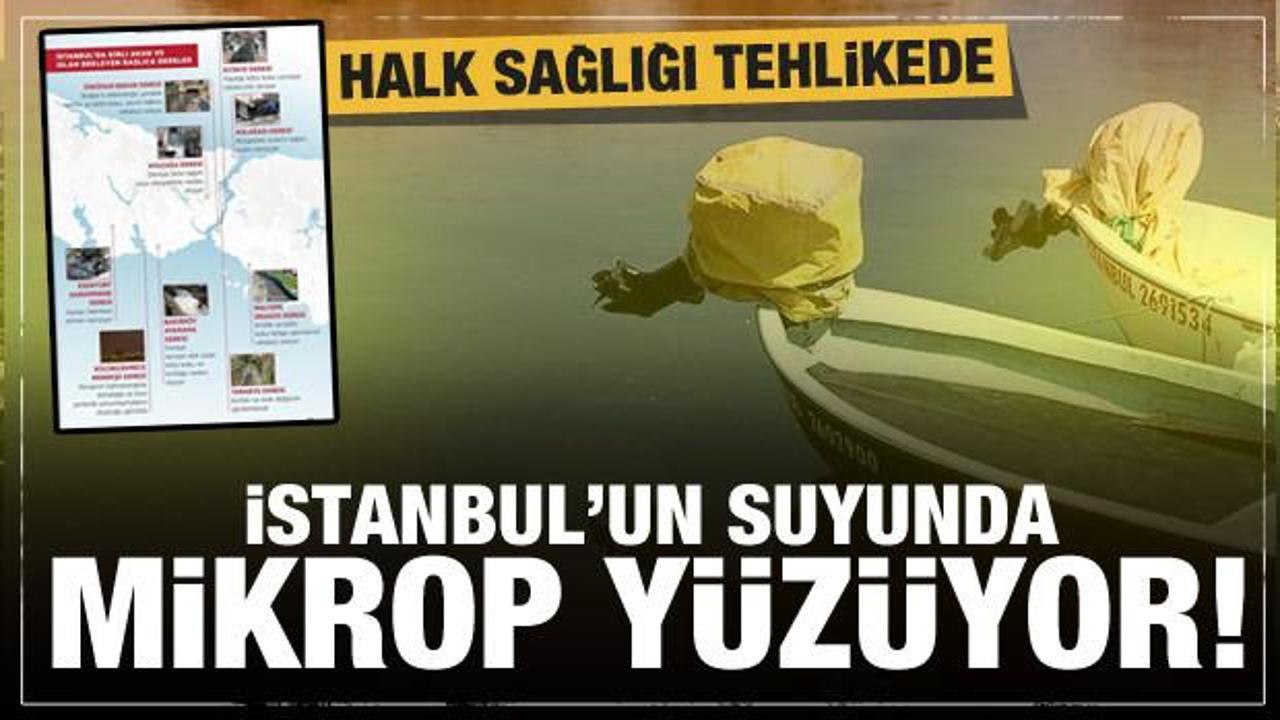 İstanbul'un derelerinden pislik akıyor! Halk sağlığı büyük tehlikede