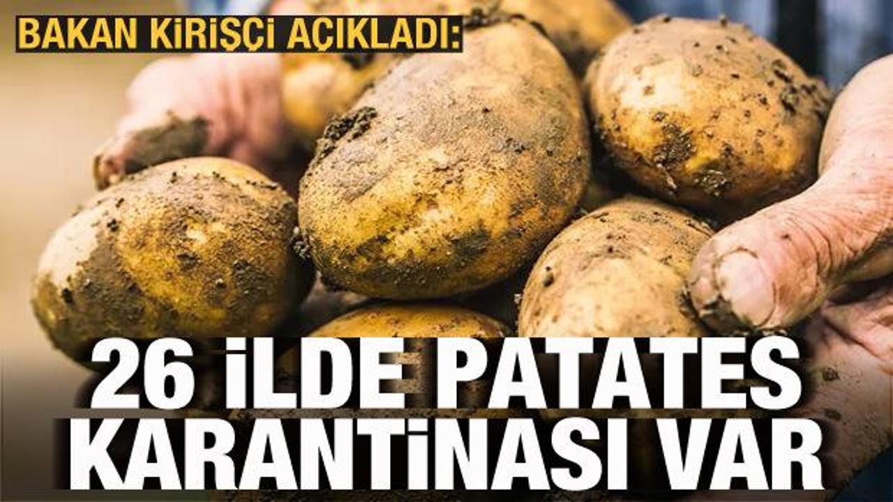 Bakan Kirişci açıkladı: 26 ilde patatesle ilgili karantina uygulanıyor