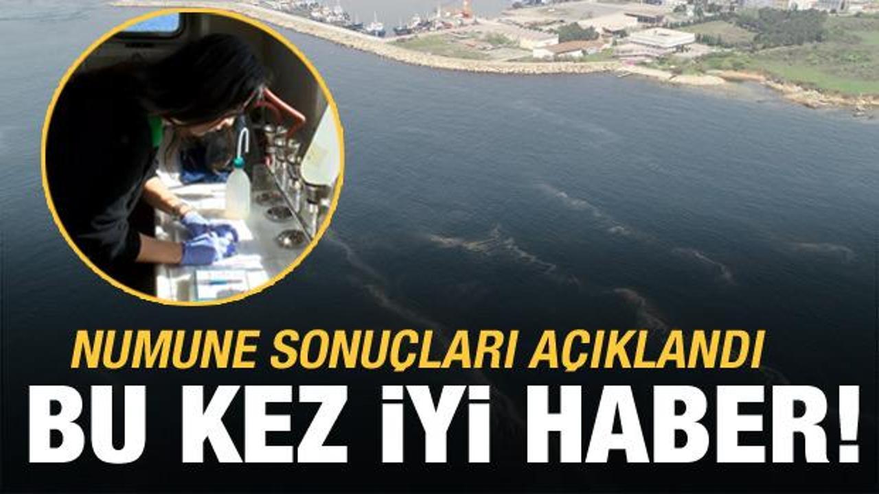 Marmara'daki numune sonuçları açıklandı! Müsilajdan iyi haber
