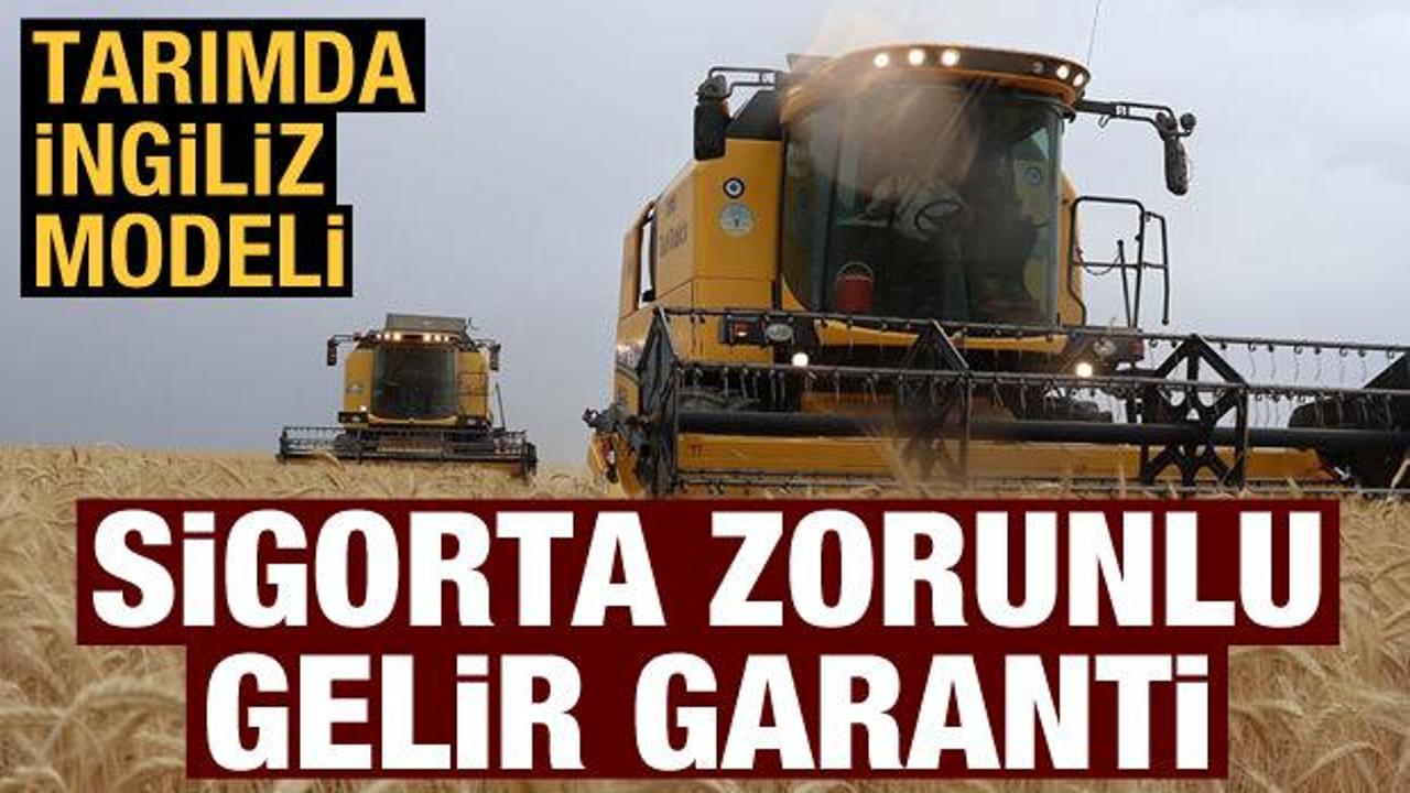 Tarımda İngiliz modeli: Sigorta zorunlu gelir garanti