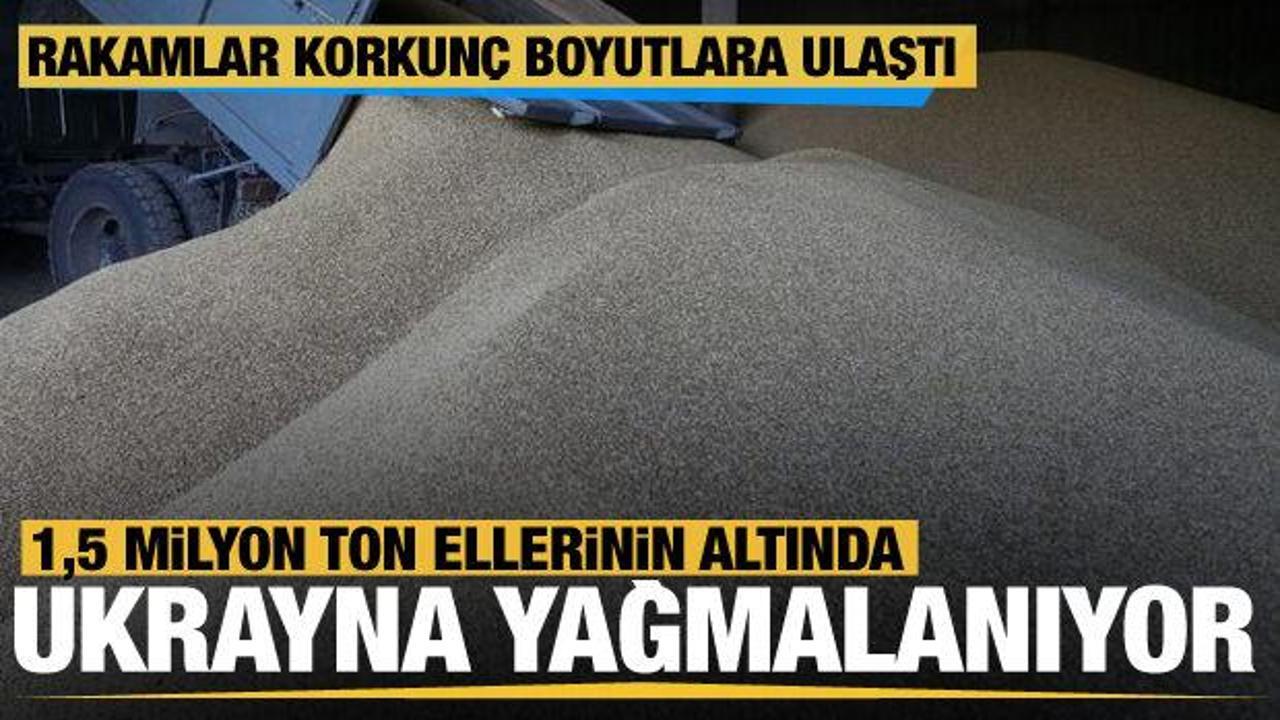 Ukrayna yağmalanıyor! Yüz binlerce ton tahıl, eşsiz sanat eserleri, tarım araçları...