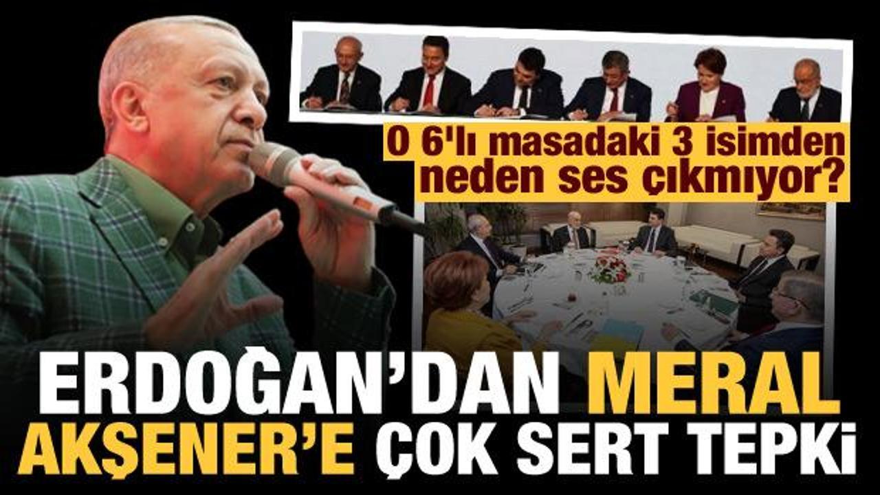 Erdoğan'dan Meral Akşener'e Abdülhamid tepkisi: O 3 isimden neden ses çıkmıyor?