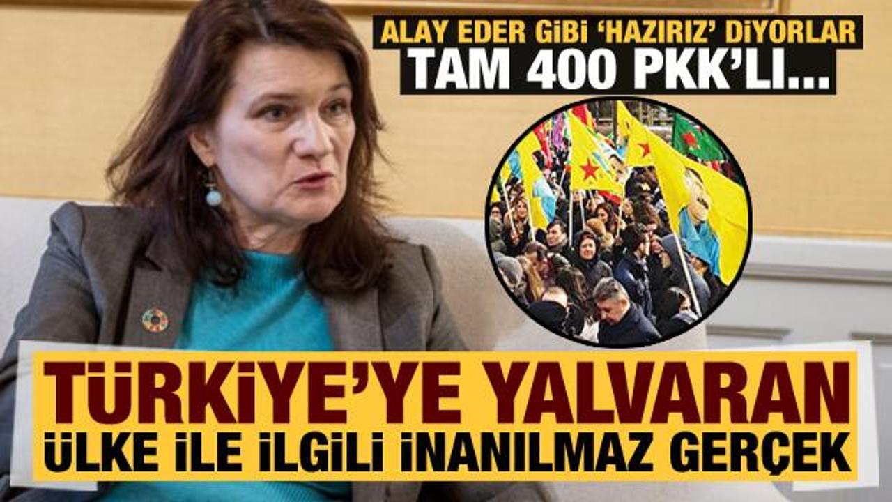 NATO'ya girmek için Türkiye'ye yalvaran İsveç ile ilgili inanılmaz gerçek: 400 PKK'lıyı...