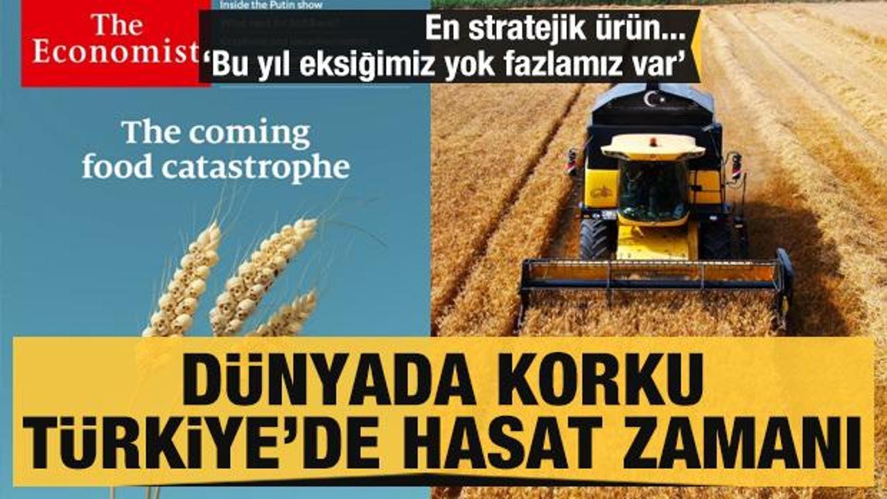 Stratejik ürün buğdayın hasadı başladı! Dünyada kıtlık korkusu başladı