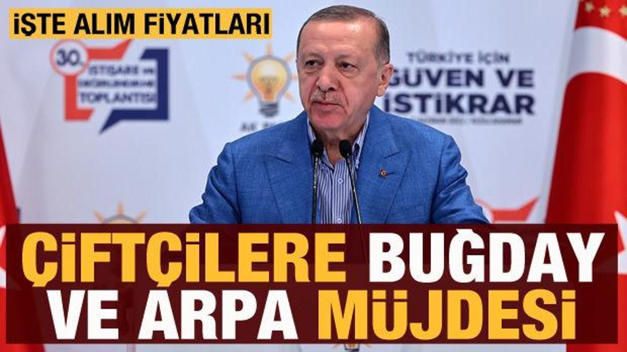Cumhurbaşkanı Erdoğan'dan &ccedil;ift&ccedil;ilere buğday ve arpa m&uuml;jdesi