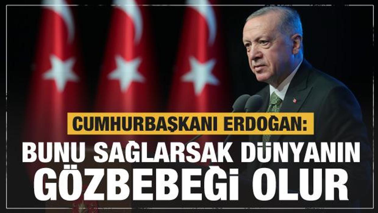 Cumhurbaşkanı Erdoğan: Bunu sağlarsak d&uuml;nyanın g&ouml;zbebeği olur
