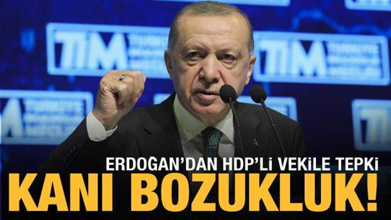 Cumhurbaşkanı Erdoğan'dan HDP'li vekile sert tepki: Kalleşliktir, namussuzluktur!