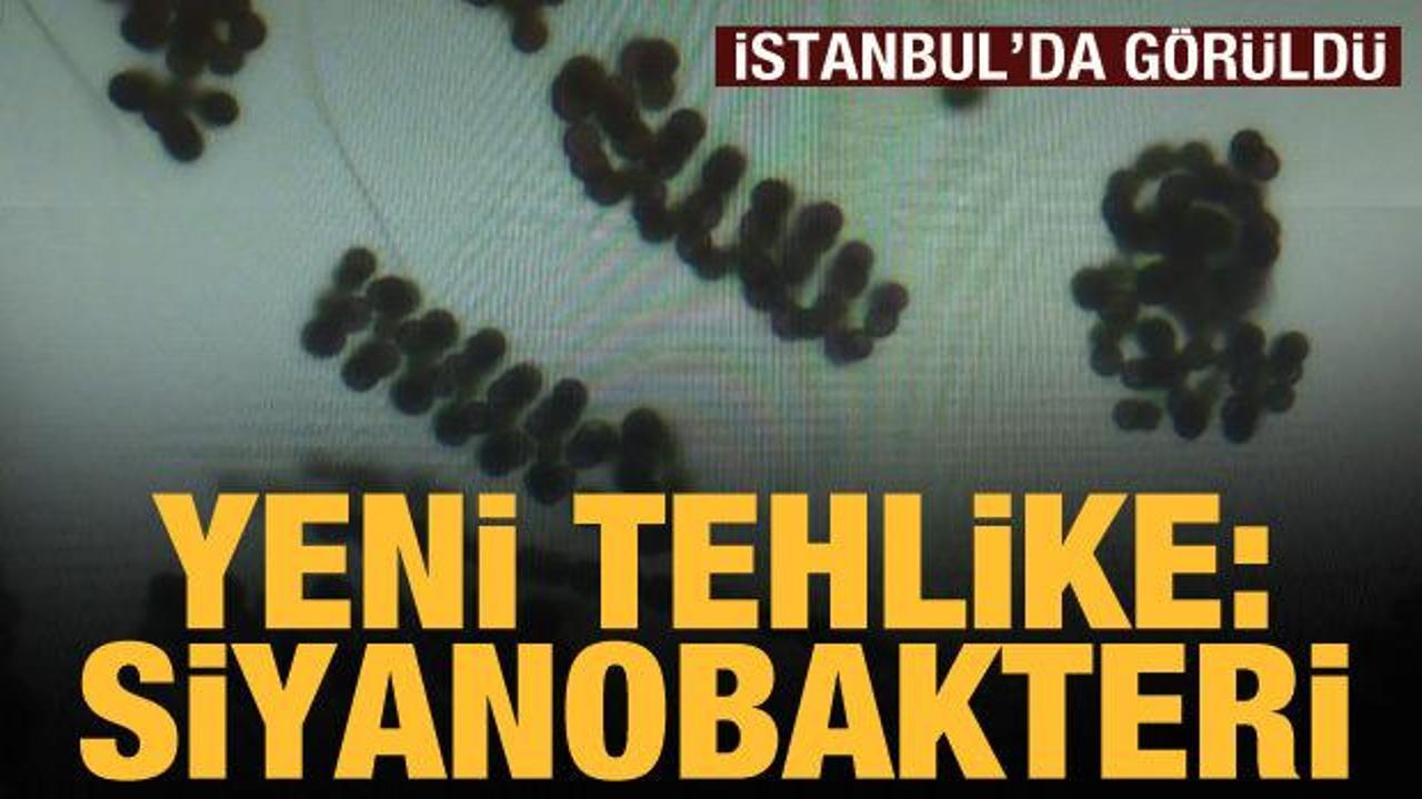 Prof. Dr. Albay'dan Sazlıdere a&ccedil;ıklaması: Siyanobakteri artışı olduğunu g&ouml;zlemledik  