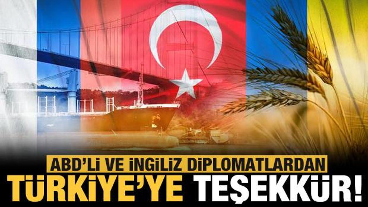 ABD'li ve İngiliz diplomatlardan Türkiye'ye teşekkür!