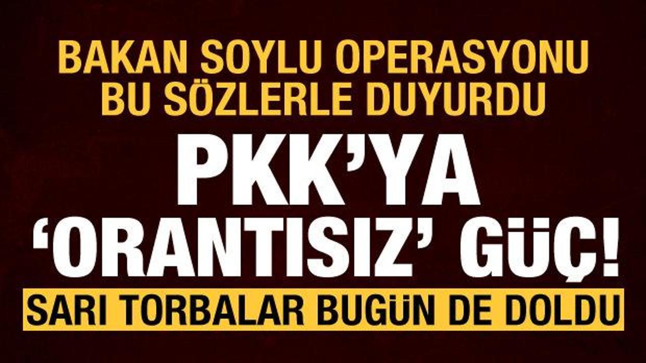 PKK'ya "orantısız" güç! İki operasyonda 6 terörist etkisiz! 