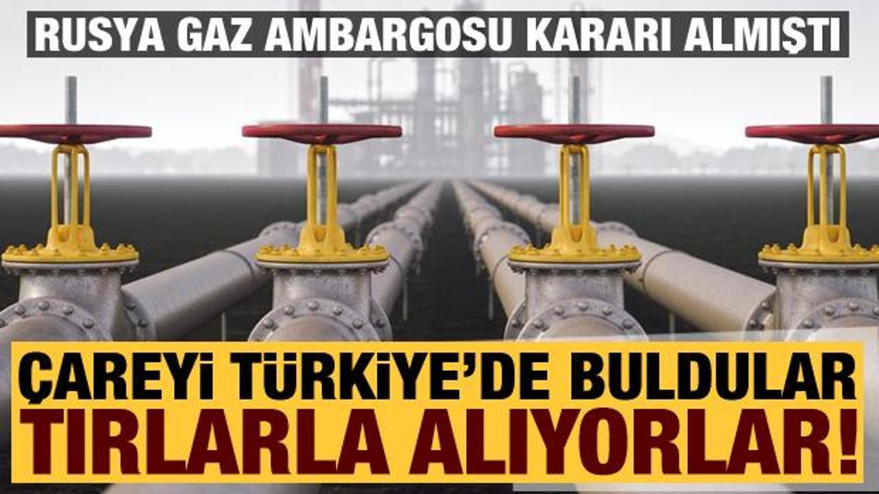 Rusya'nın gaz ambargosu uyguladığı ülke çareyi Türkiye'de buldu!