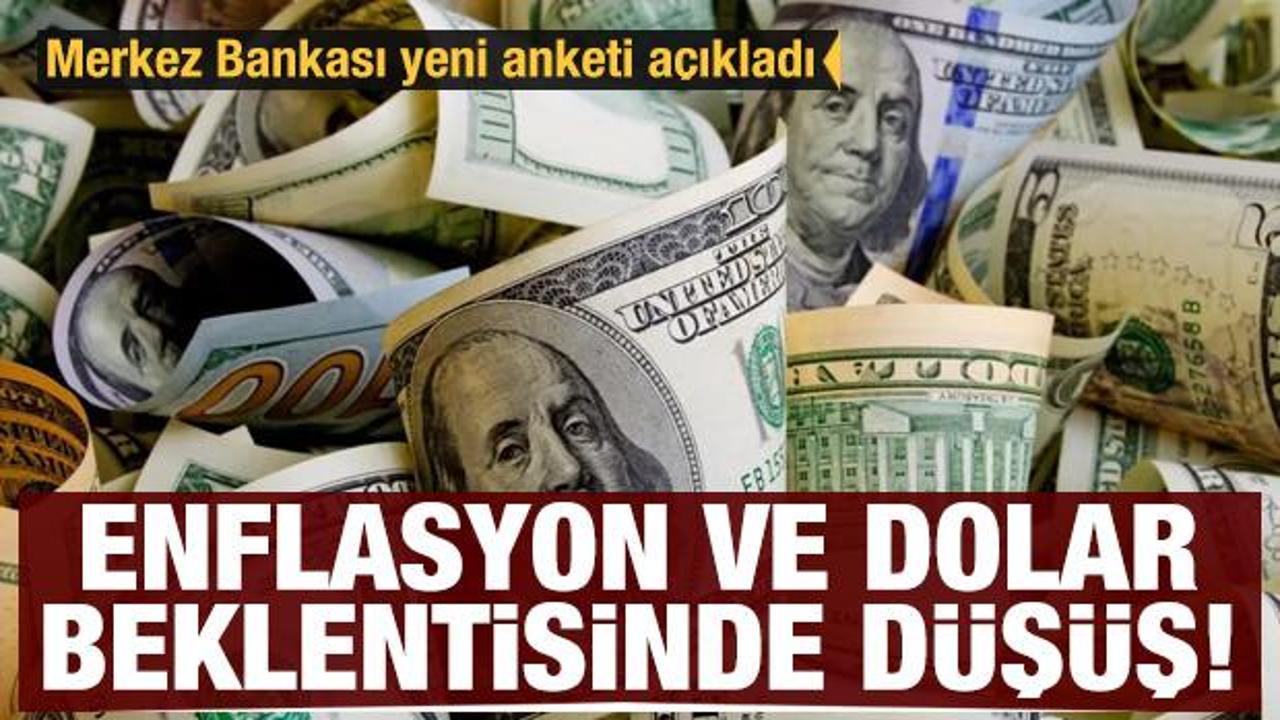 Enflasyon ve dolar beklentisinde d&uuml;ş&uuml;ş: Merkez Bankası yeni anketi a&ccedil;ıkladı