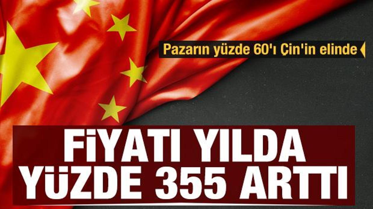 Pazarın y&uuml;zde 60'ı &Ccedil;in'in elinde: Fiyatı yılda y&uuml;zde 355 arttı