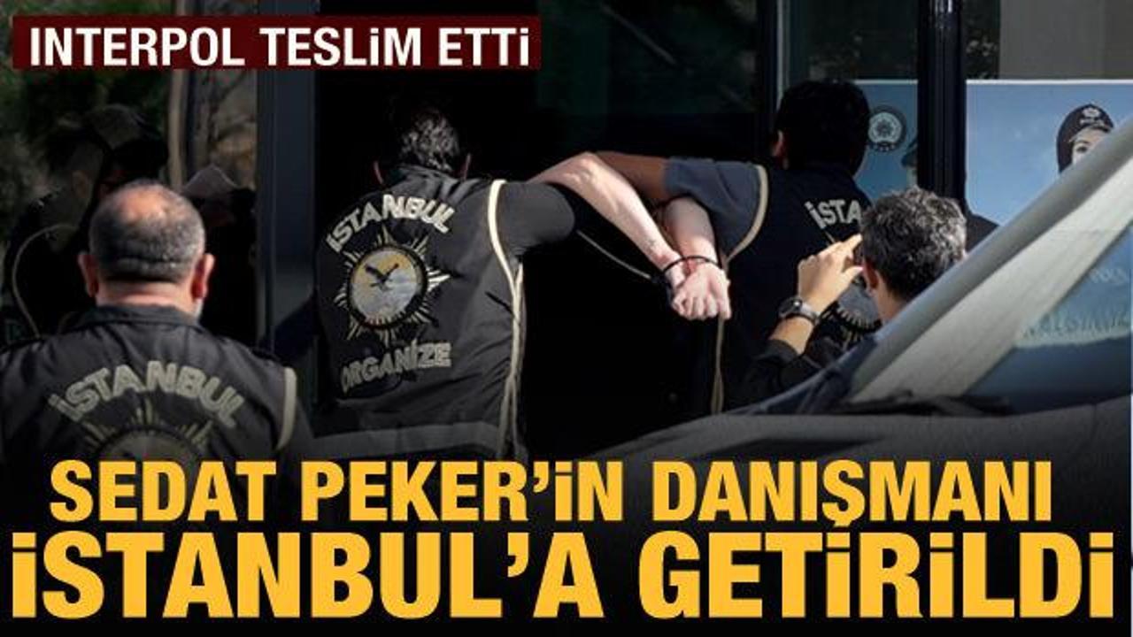 Sedat Peker'in basın danışmanı Emre Olur İstanbul'a getirildi
