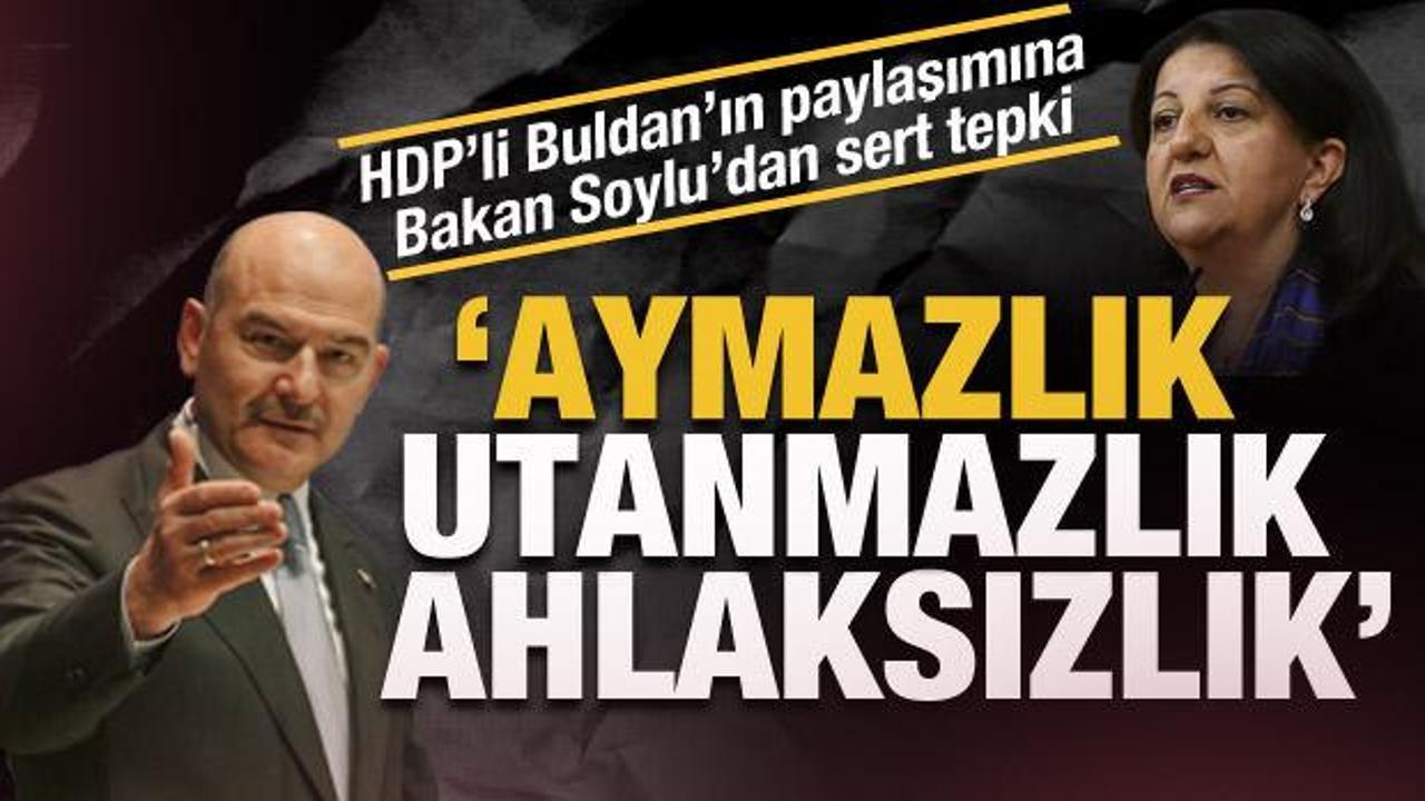 Bakan Soylu'dan HDP'li Buldan'a tepki: Aymazlık, utanmazlık, ahlaksızlık