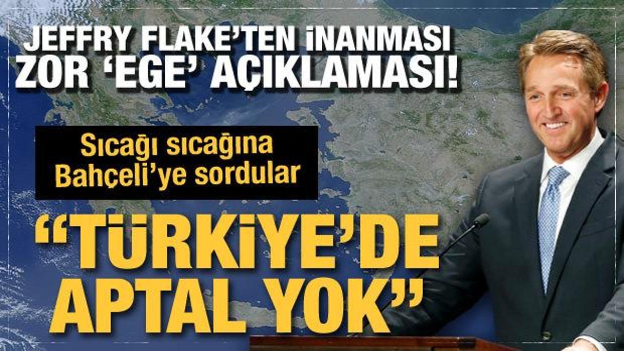 Jeffry Flake'in 'Ege' açıklamasına Bahçeli'den cevap: Türkiye'de aptal yok!