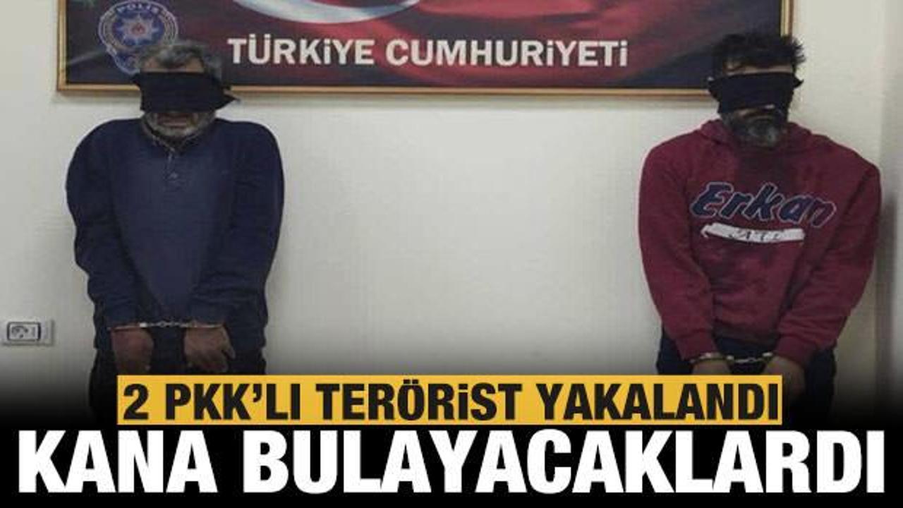 Son dakika: Kana bulayacaklardı: 2 PKK'lı terörist yakalandı!