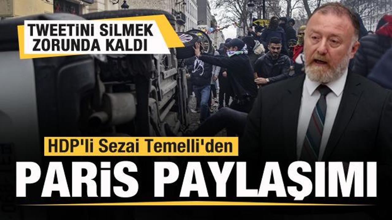 HDP'li Sezai Temelli'den Paris paylaşımı! Silmek zorunda kaldı!