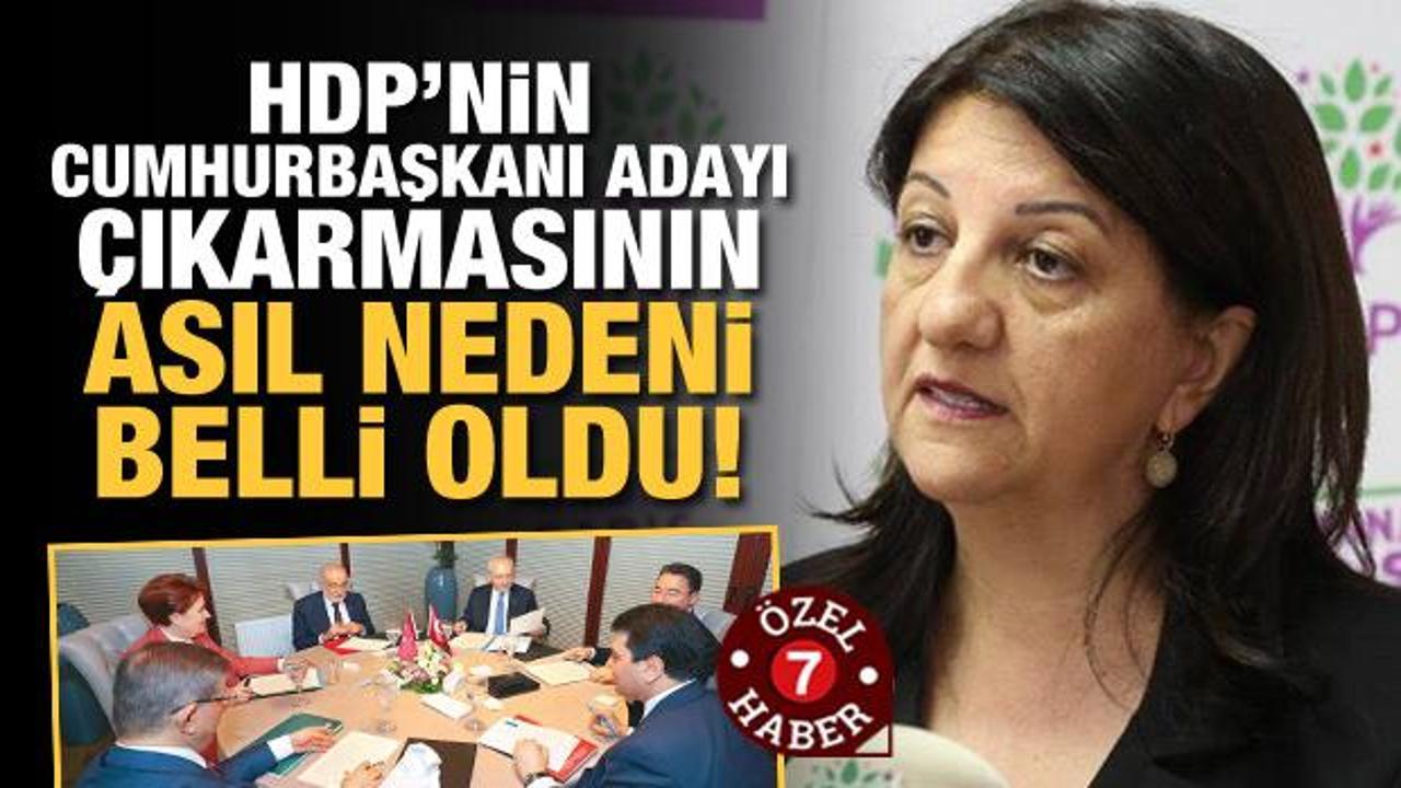 HDP’nin cumhurbaşkanı adayı çıkarmasının asıl nedeni ortaya çıktı!