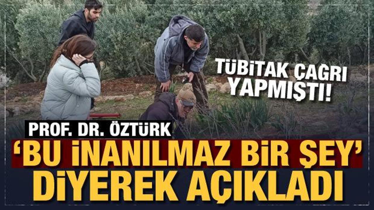 Prof. Dr. &Ouml;zt&uuml;rk'ten deprem araştırması: 'Bu inanılmaz bir şey' diyerek a&ccedil;ıkladı! 