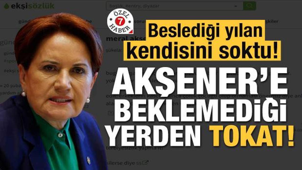Beslediği yılan kendisini soktu! Akşener'e beklemediği yerden tokat