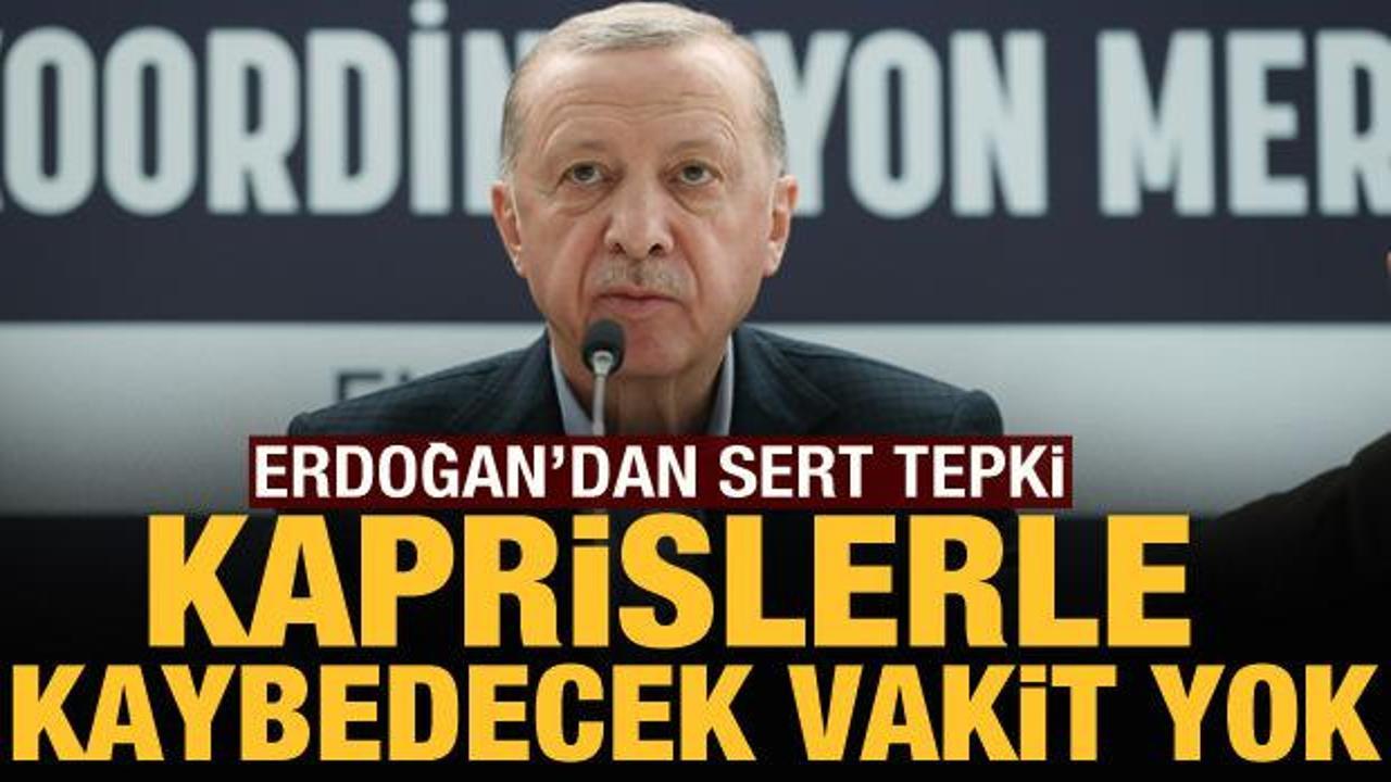 Cumhurbaşkanı Erdoğan: Kaprislerle kaybedecek vakit yok!