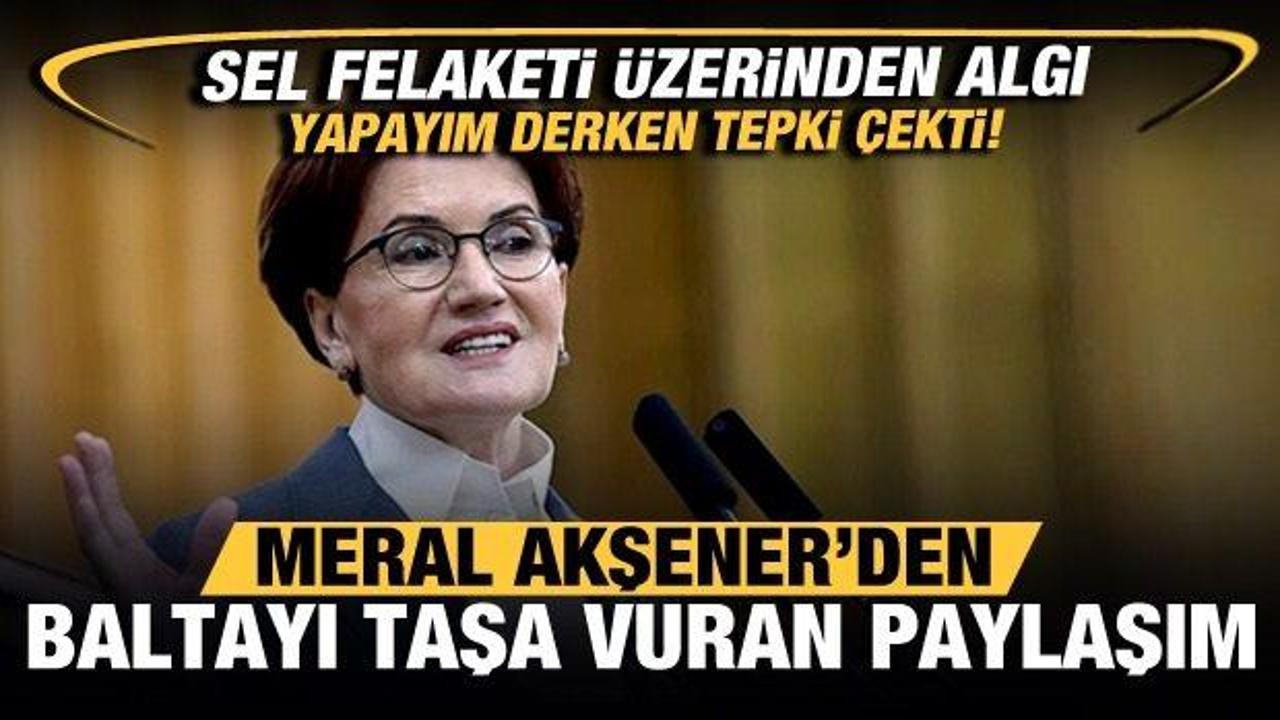 Meral Akşener'den akılalmaz algı operasyonu! Yaptığı paylaşımı yoğun tepki &ccedil;ekti!