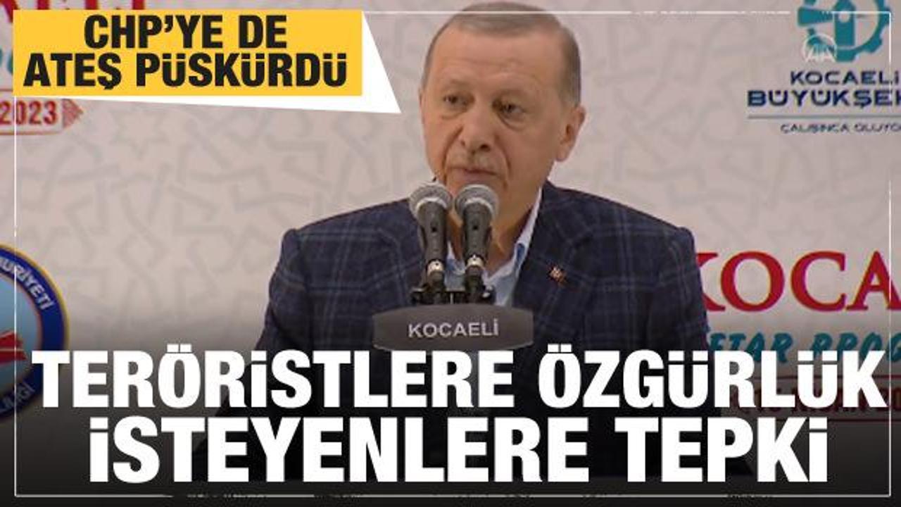 Öcalan'a özgürlük istediler! Cumhrubaşkanı Erdoğan ateş püskürdü...CHP'ye de sert tepki