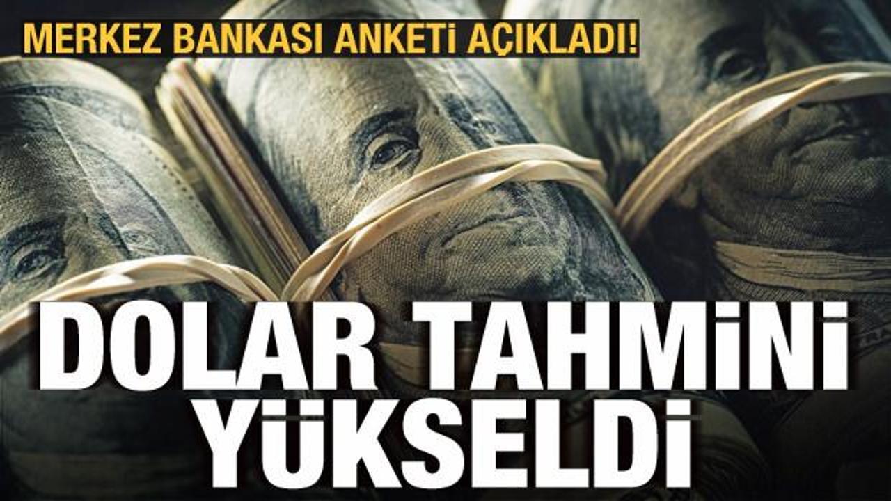 Merkez Bankası anketinde yıl sonu dolar tahmini y&uuml;kseldi