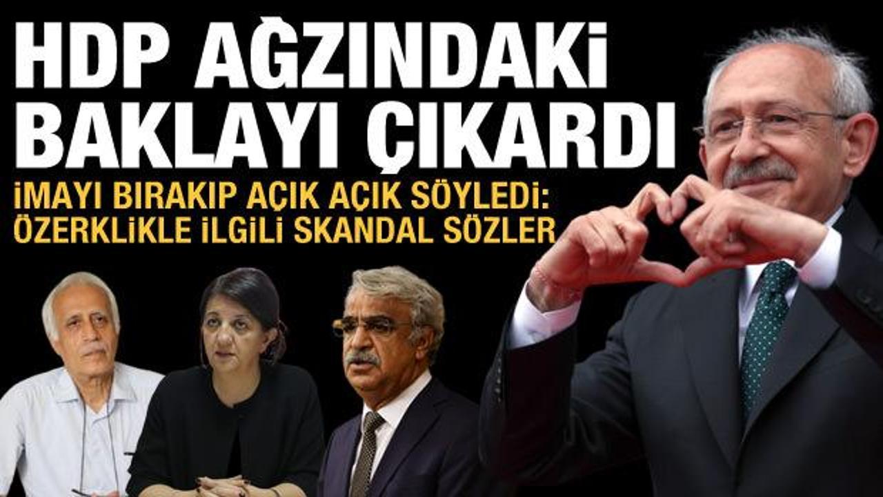 HDP'li isimden skandal sözler: Artık açık açık söylüyorlar!