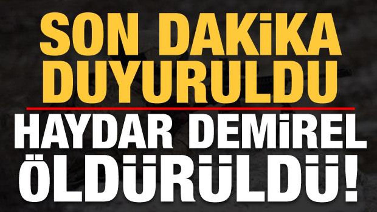 Son dakika haberi: Haydar Demirel &ouml;ld&uuml;r&uuml;ld&uuml;!