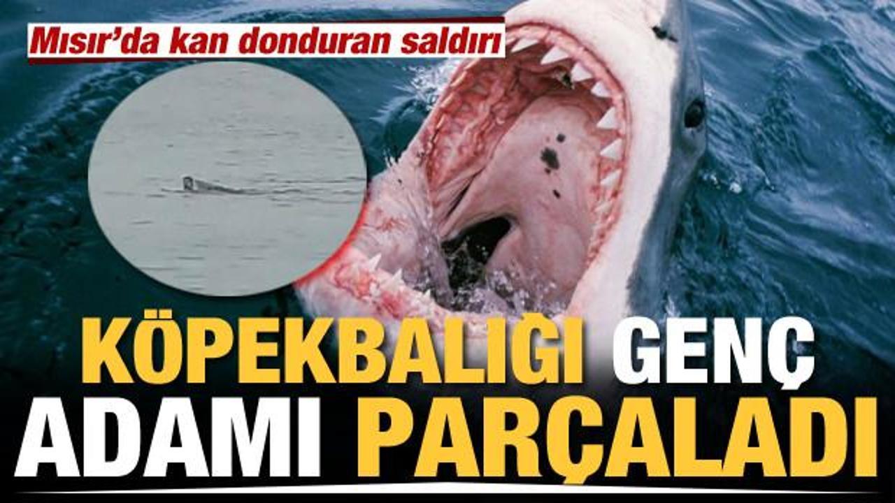 Mısır sahilinde köpekbalığı saldırısına uğrayan Rus öldü - Haber 7 DÜNYA