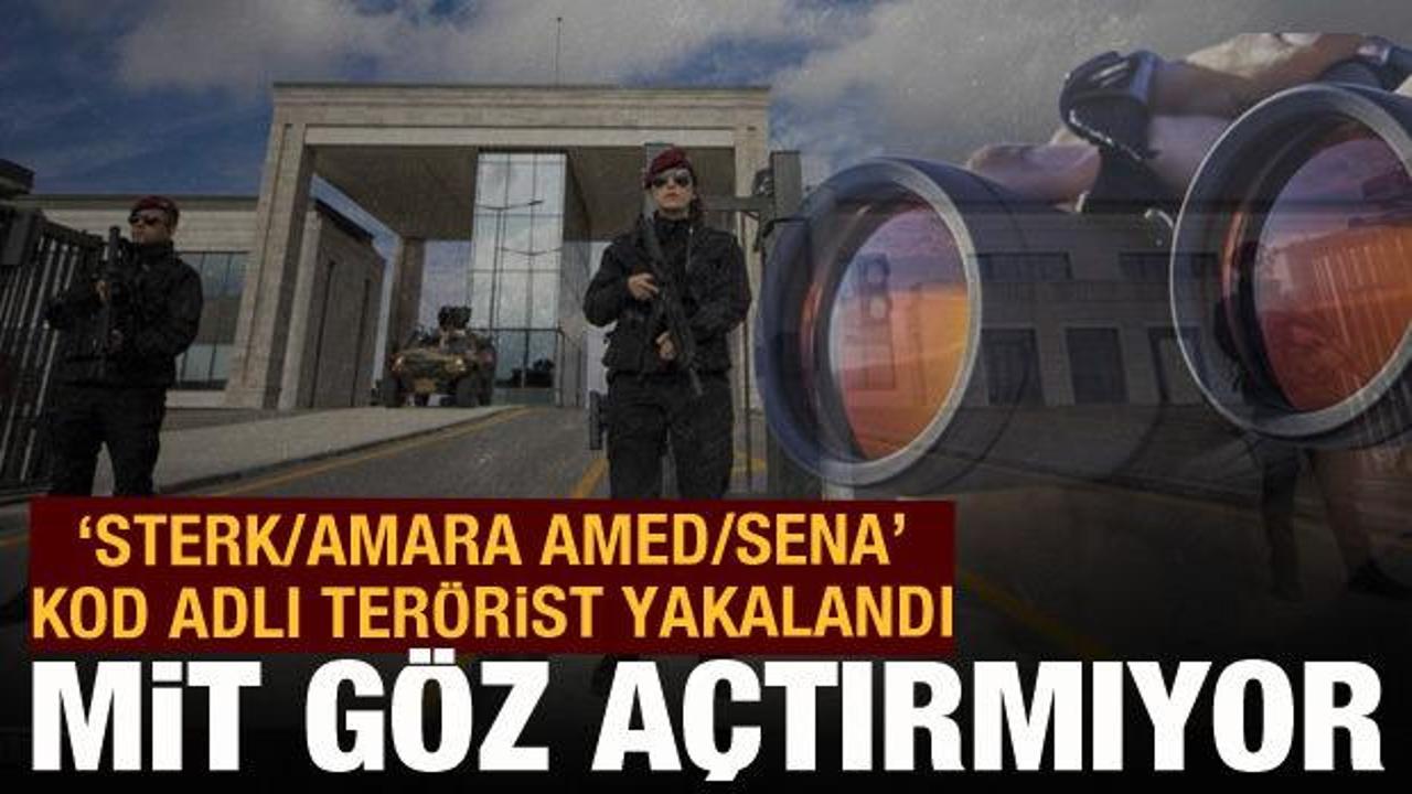 MİT, Sterk/Amara Amed/Sena kod adlı teröristi yakaladı