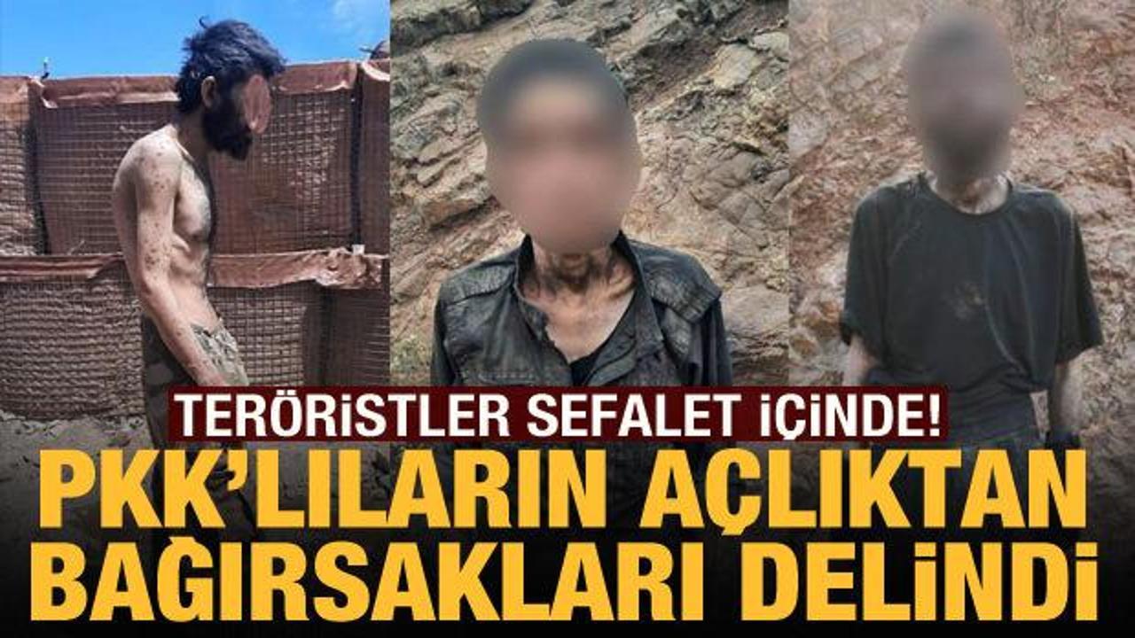 PKK'lı teröristlerin açlıktan bağırsakları delindi