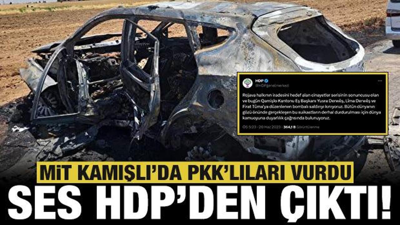 MİT PKK'lıları vurdu ses yine HDP'den çıktı: Suikastlar durdurulsun