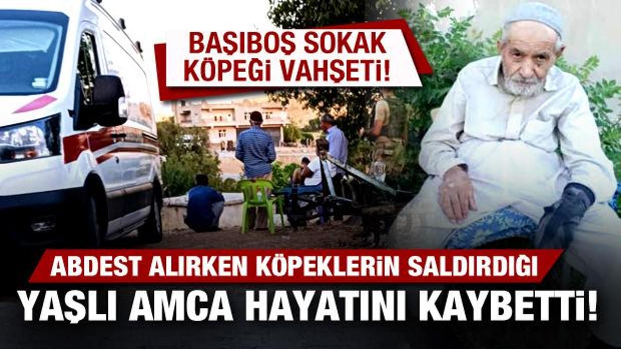 Diyarbakır'da sokak k&ouml;peği vahşeti: Abdest alırken k&ouml;peklerin saldırdığı adam &ouml;ld&uuml;