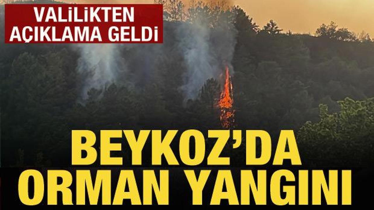 Son Dakika: Beykoz'daki orman yangını kontrol altına alındı