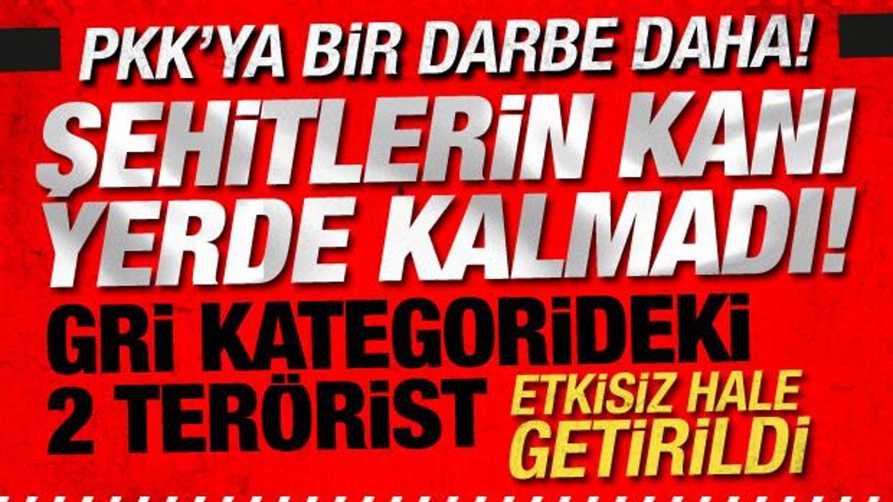 Bakan Yerlikaya: Biri gri kategoride 2 ter&ouml;rist etkisiz!